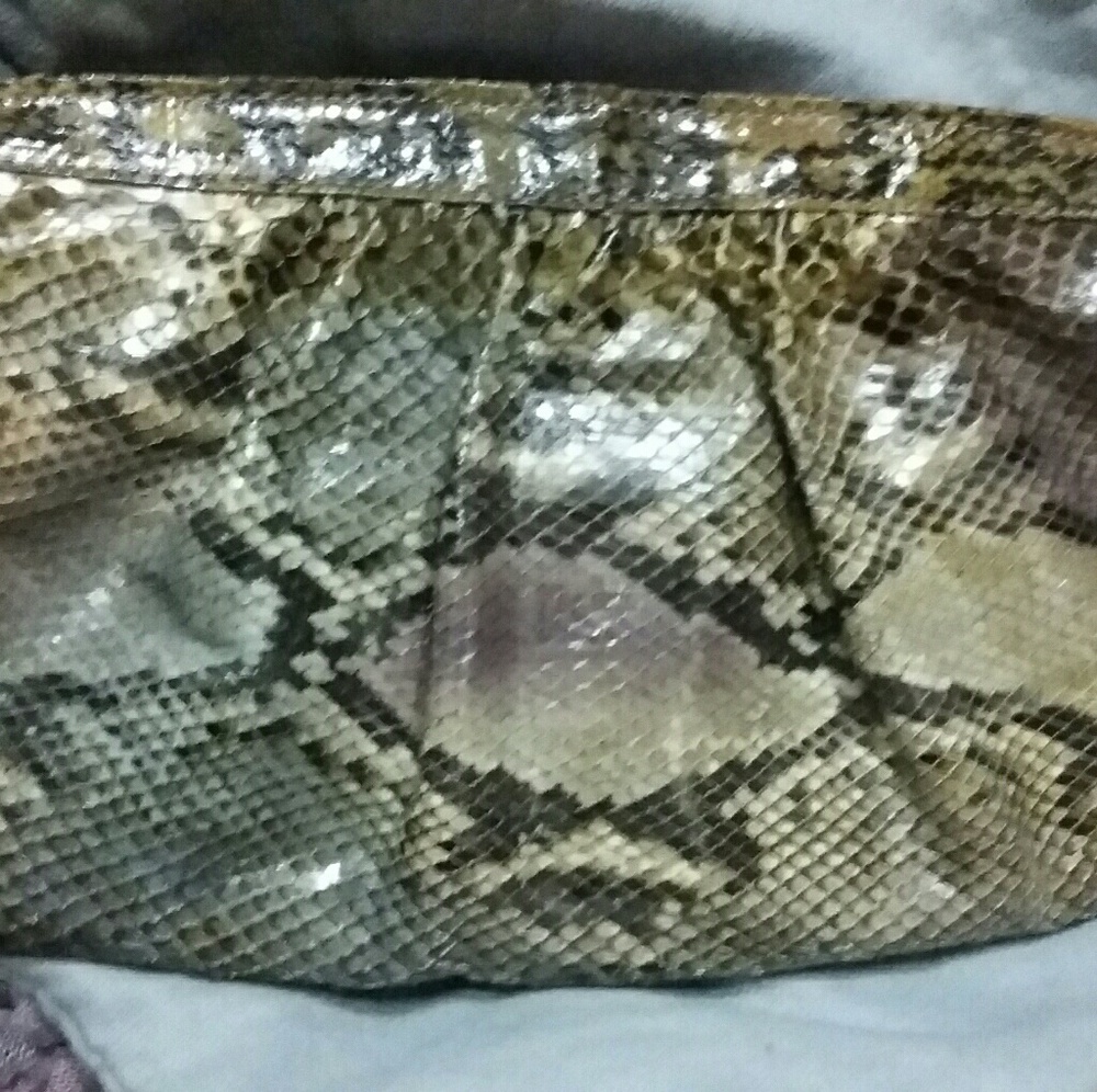 A vintage snakeskin clutch